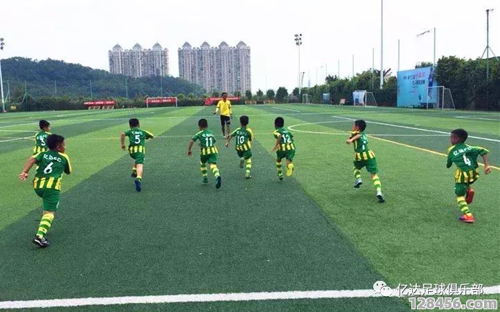 鱼台有足球培训班吗？全面解析本地青少儿足球培训资源